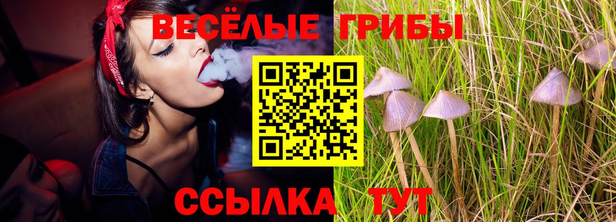 Псилоцибиновые грибы GOLDEN TEACHER Бор
