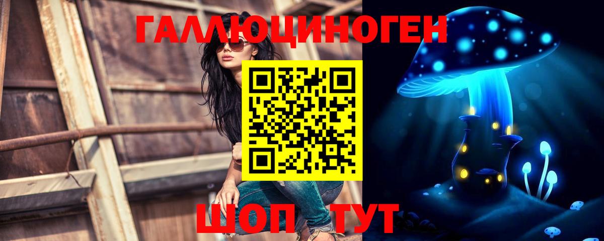 Псилоцибиновые грибы GOLDEN TEACHER  Вход с VPN  Бор  Галлюциногенные грибы Magic Shrooms 
